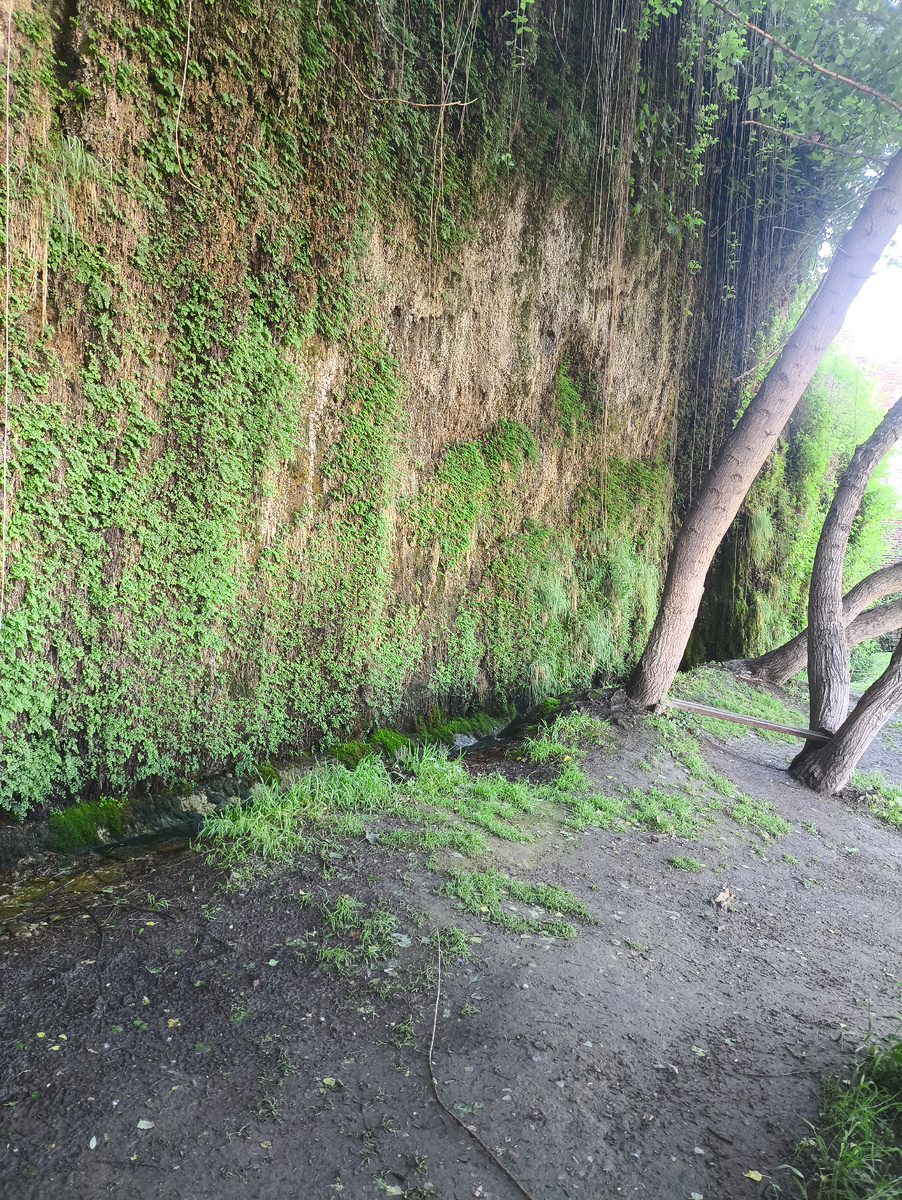 Фото автора. Грузия . Тбилиси . Плачущая гора.