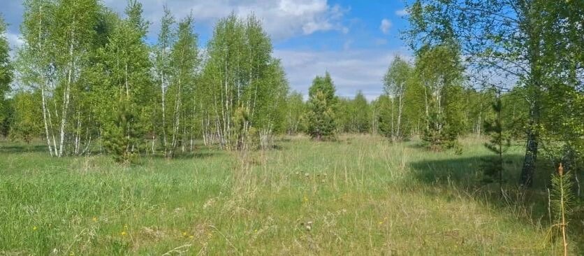 Фото: Уральское межрегиональное управление Россельхознадзора