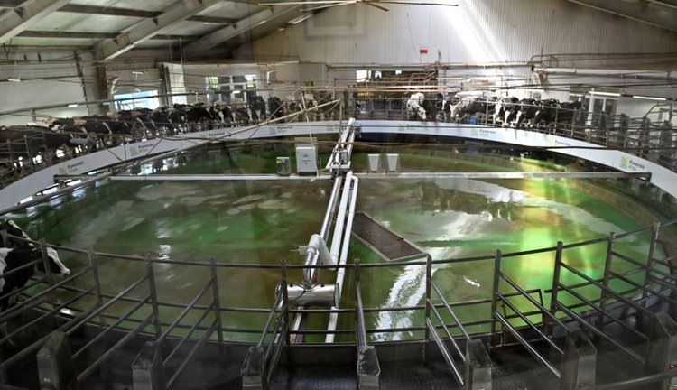    В Калужской области увеличивается доля занятых в АПК