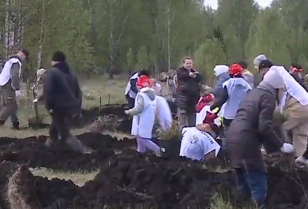     В Емельяновском районе высадили три тысячи деревьев