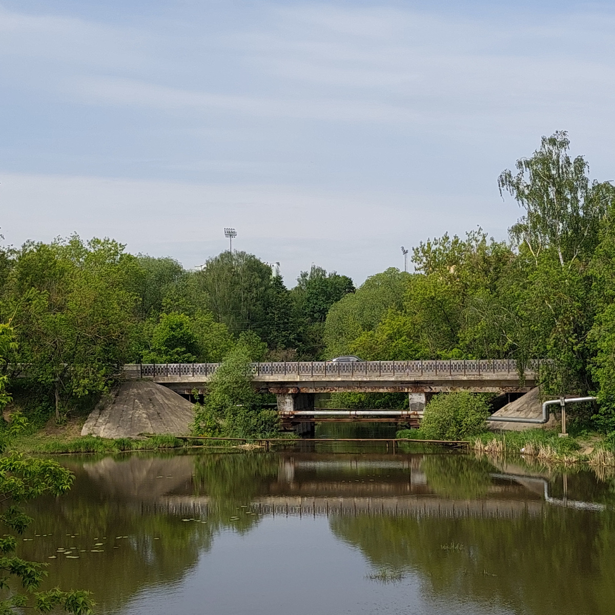 Фото автора.