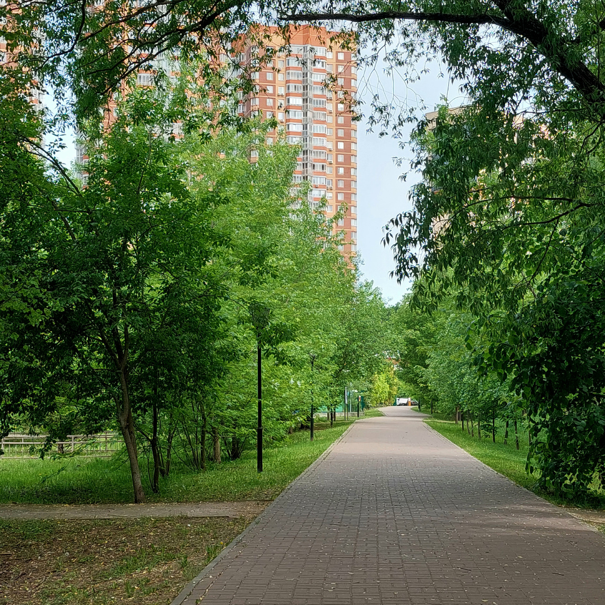 Фото автора.