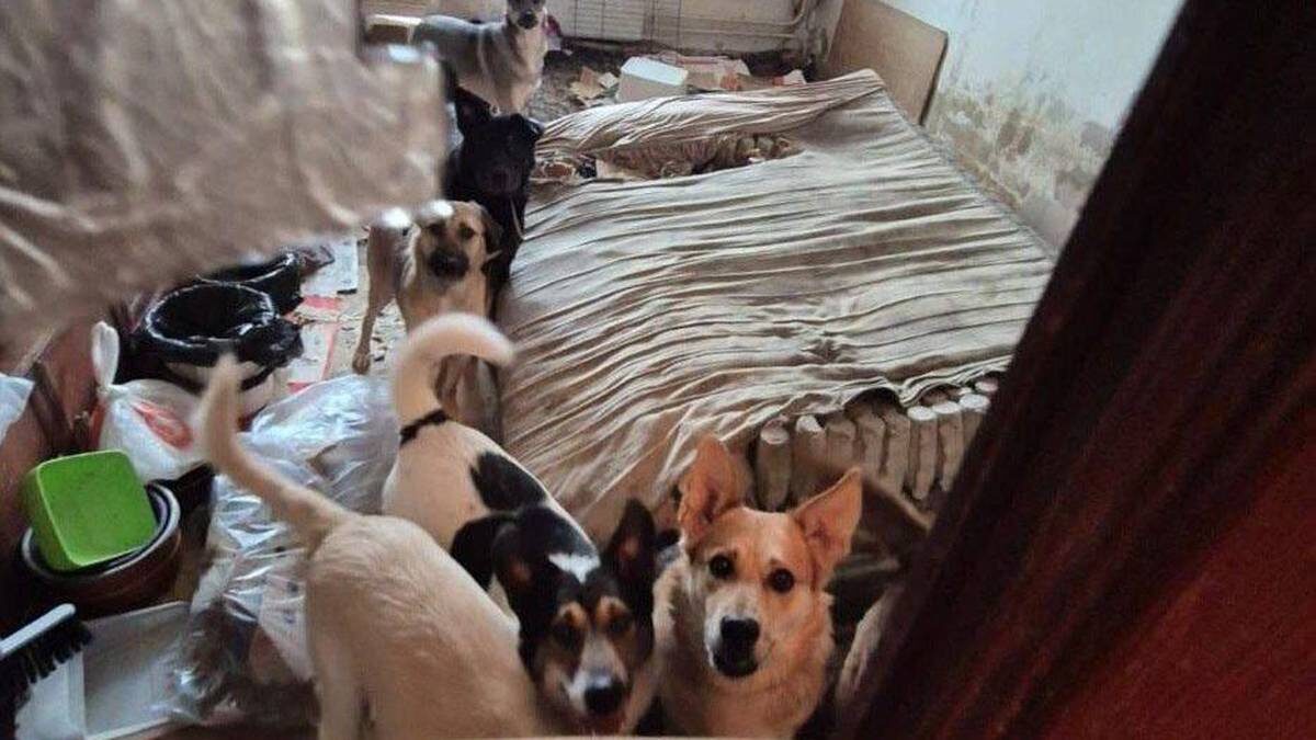    Фото: Прокуратура Москвы / Telegram