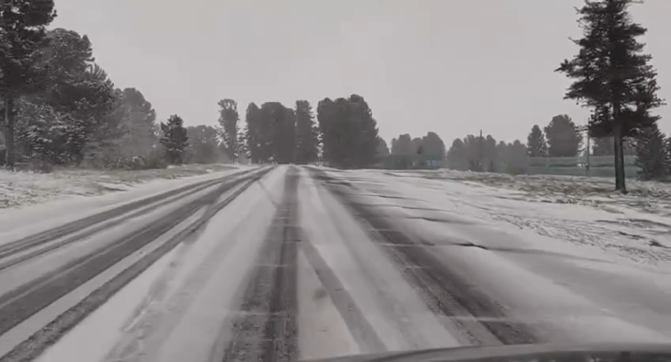    Снегопад на Семинском перевале. Источник: Телеграм-канал "В КУРСЕ 22 | Барнаул"