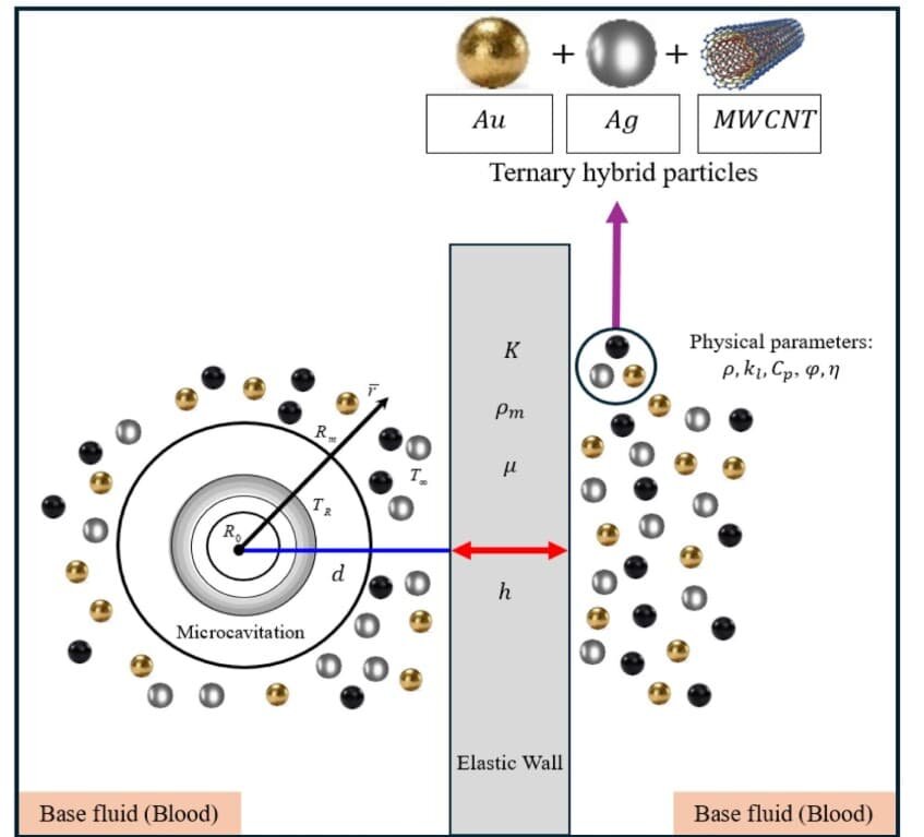    Рисунок 2. Схема динамики микрокавитации в тройной гибридной жидкости вблизи упругой стенки / © Ahmed K.Abu-Nabab et al., Results in Engineering