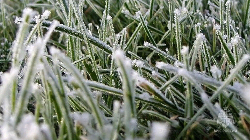 Фото: ГУ МЧС России по Краснодарскому краю