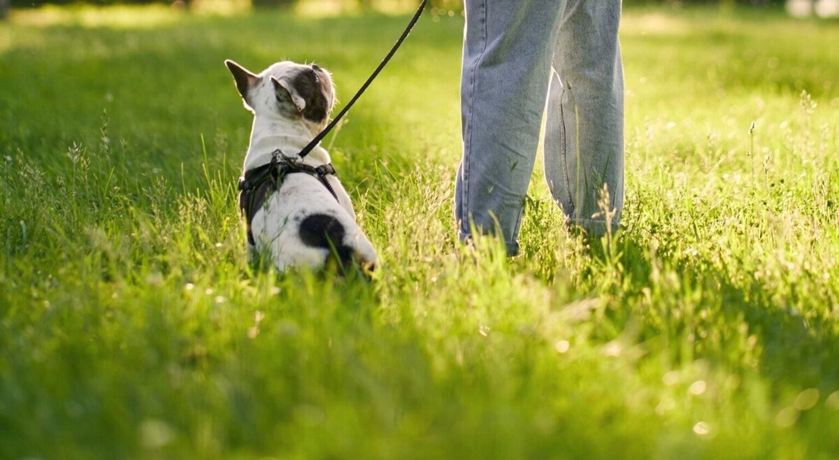     Источник: ru.freepik.com