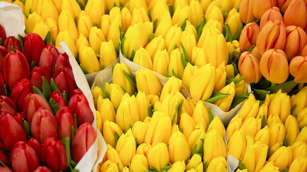    Фото: Дмитрий Белицкий / АГН Москва