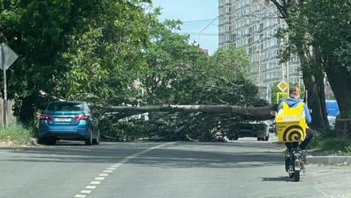 Источник фото: Соцсети