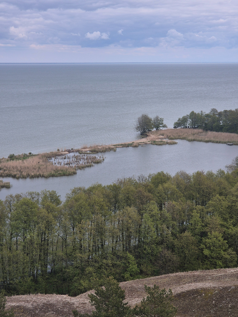Непосредственно  озеро Лебедь 