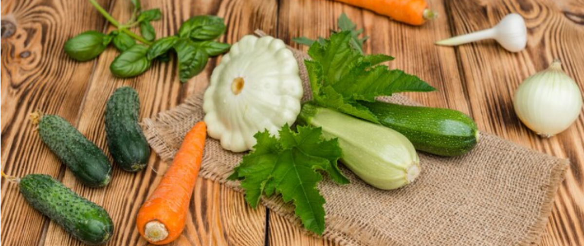 удобрение для растений