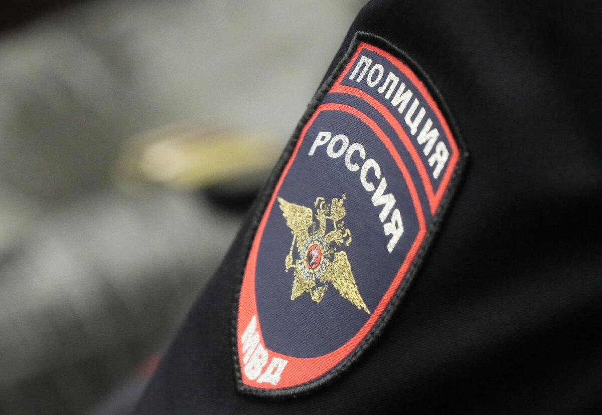 Фото: Владимир Гердо/ТАСС