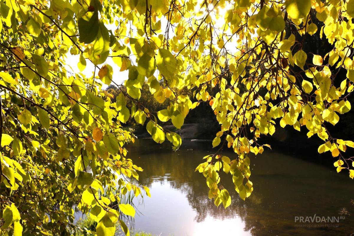    Среднесуточная температура воздуха будет на 7-10 градусов превышать климатическую норму