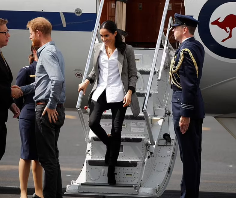 Гарри и меган часто летают частными самолетами, за что их критикуют нещадно