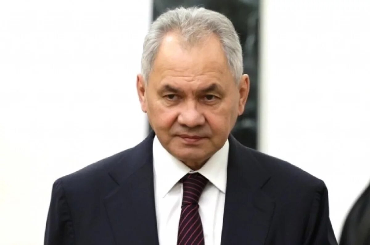   Шойгу назвал связку России и Китая главным стабилизирующим фактором в мире