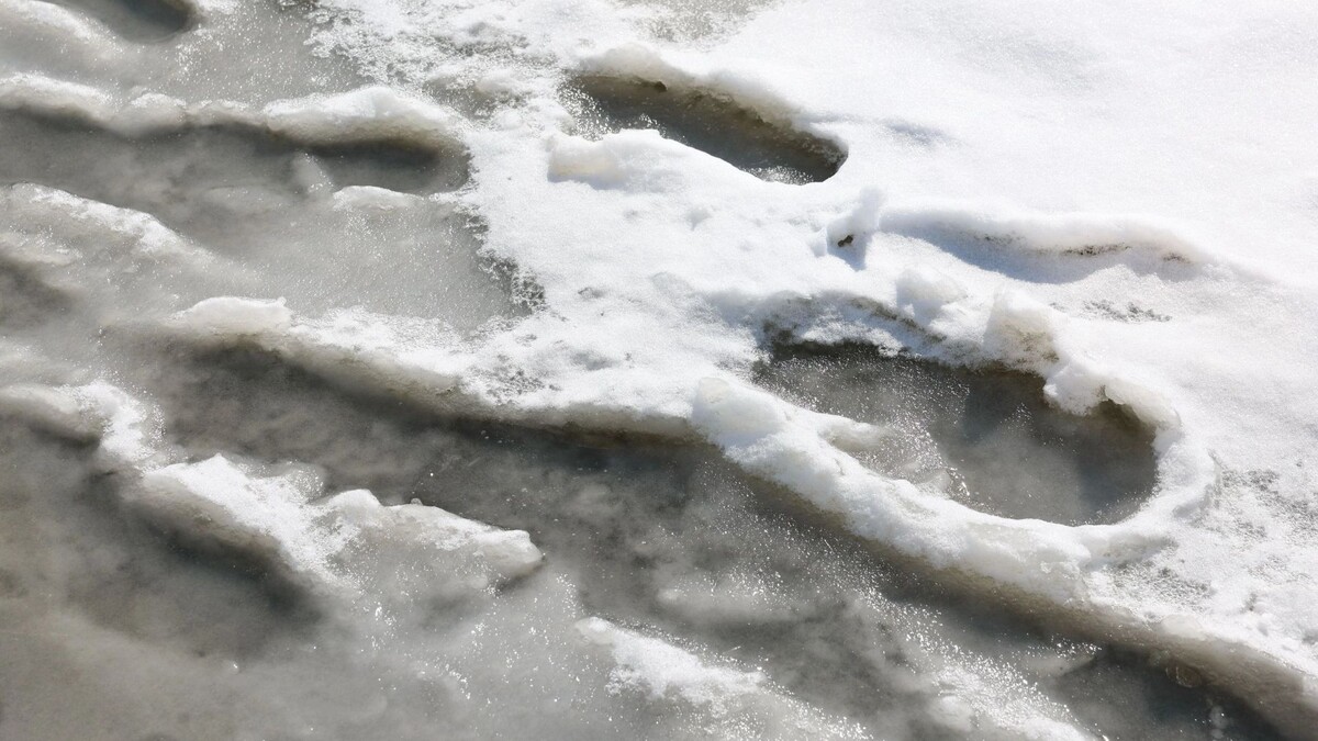    Фото: Андрей Ткачев/«Ямал-Медиа»