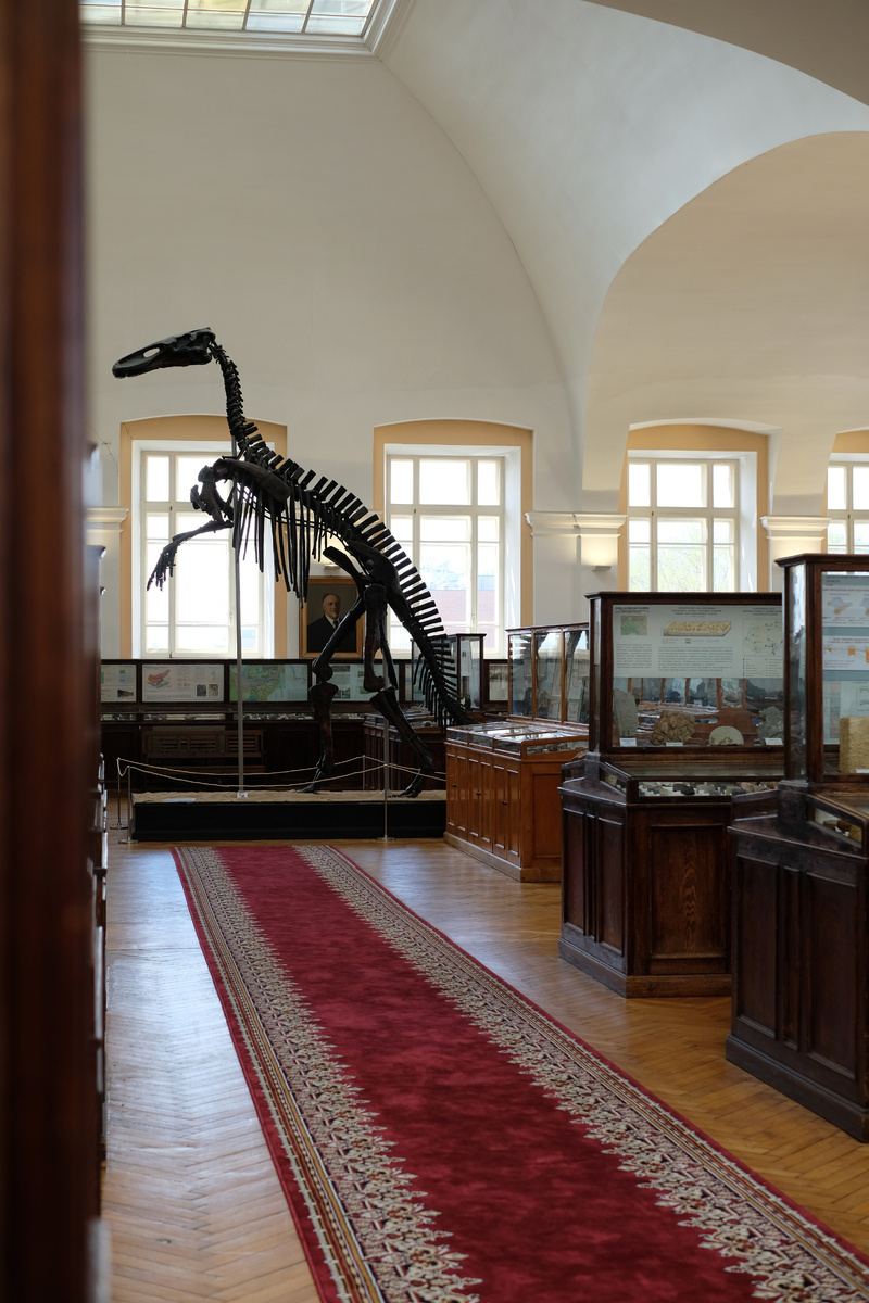 Скелет маньчжурозавра в Центральном геологоразведочном музее им. академика Ф. Н. Чернышева в Санкт-Петербурге