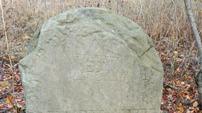     Источник: openbelgorod.ru