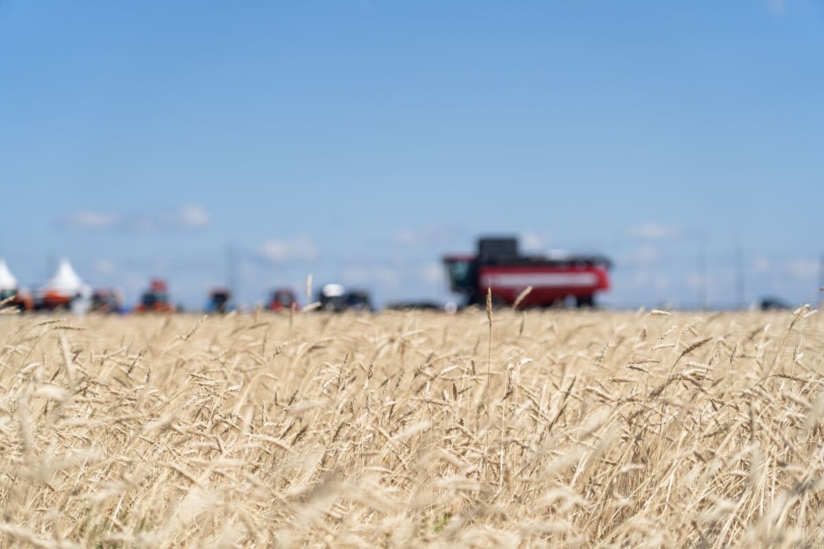Фото: Александр Плонский / «Агроэксперт»