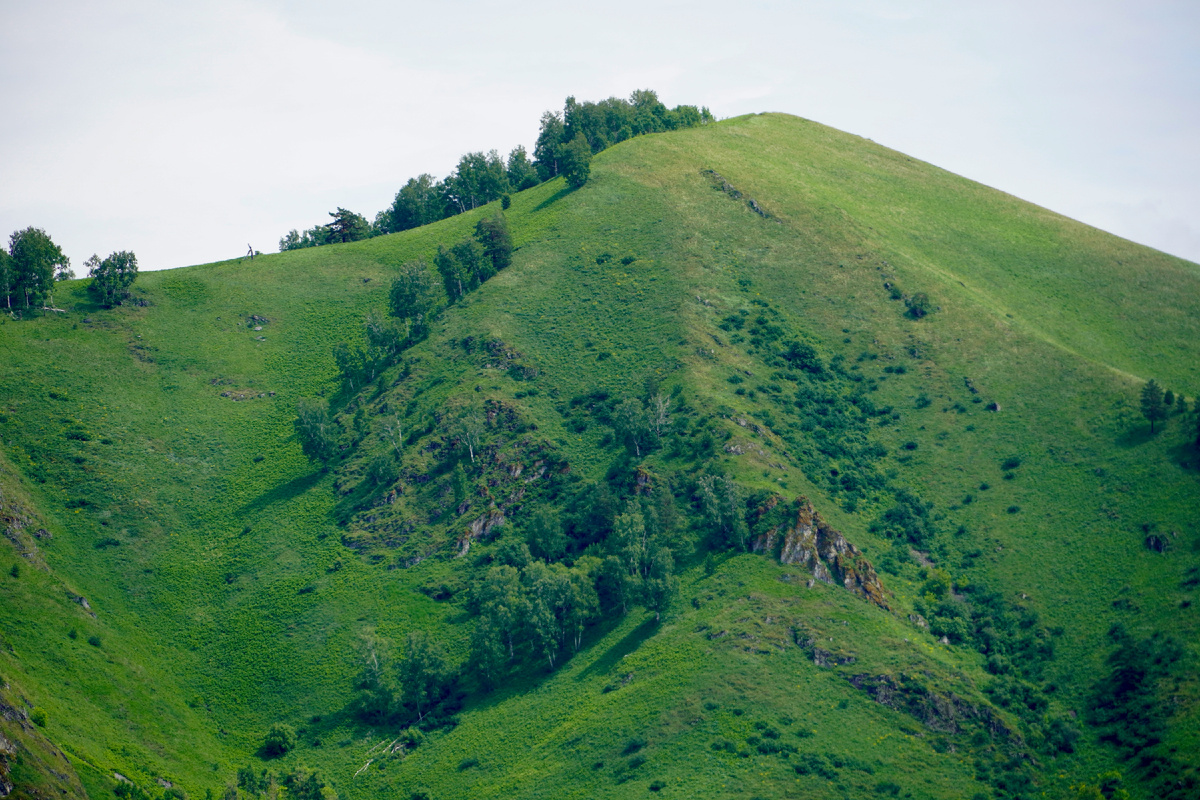 Photo by Eduard Galitsky on Unsplash