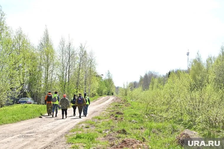 Поисками пропавшего мальчика занимаются полицейские и волонтеры. Фото: Руслан Яроцкий © URA.RU