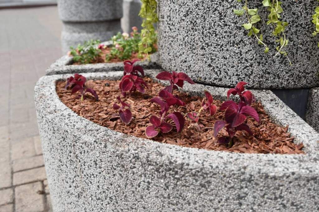    Фото администрации города Курска