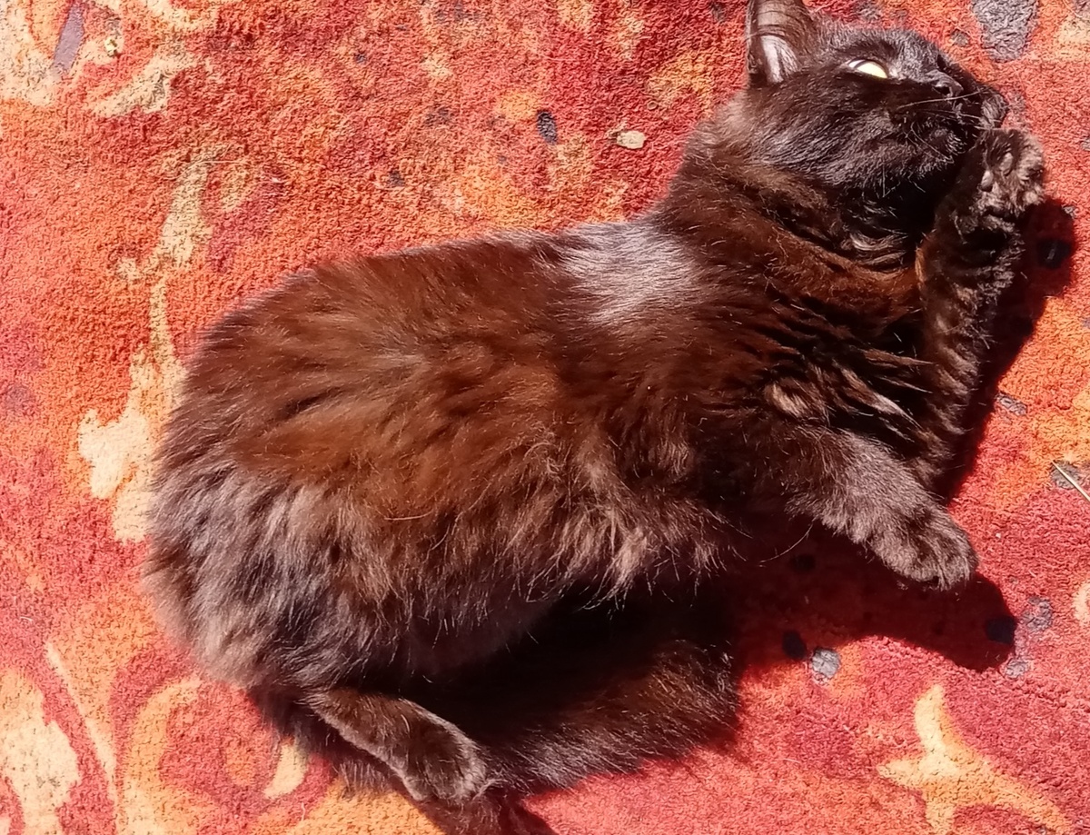 закатила глаза.. я;))