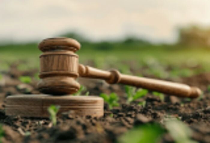 Источник фото: Пресс-служба ФАС