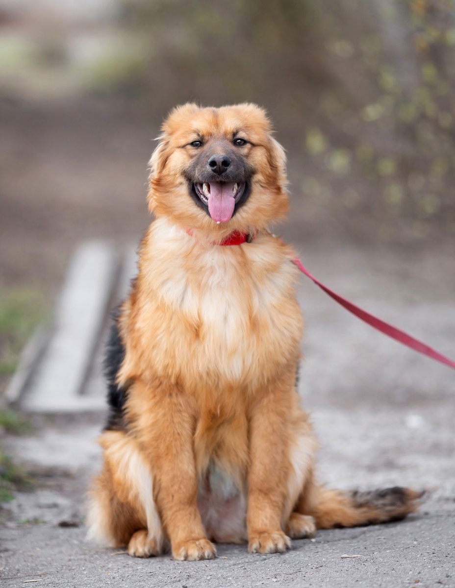 Секрет: её умение «читать» эмоции человека!