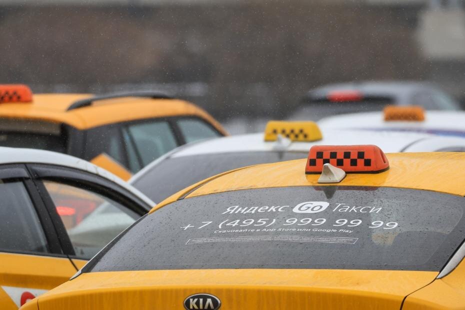    Наталья Шатохина/NEWS.ru