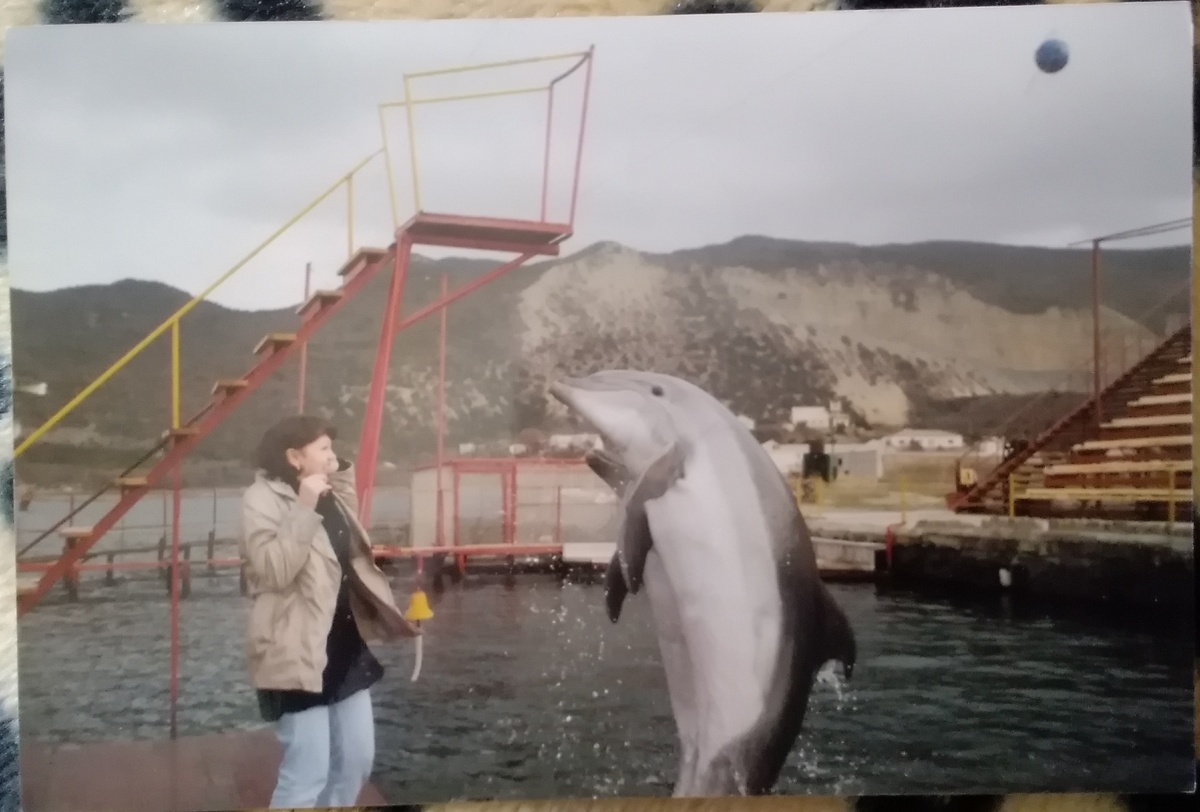 В дельфинарии на Утрише