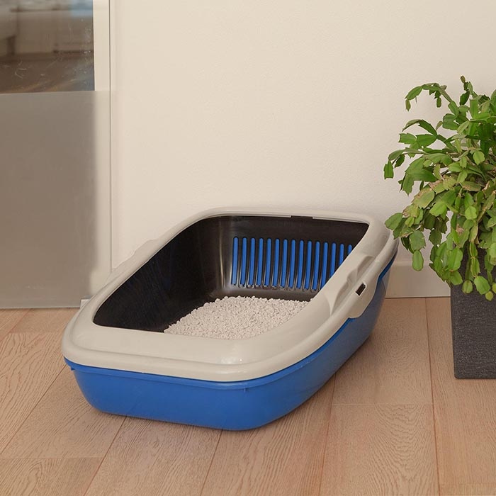 Главное — регулярно чистить
