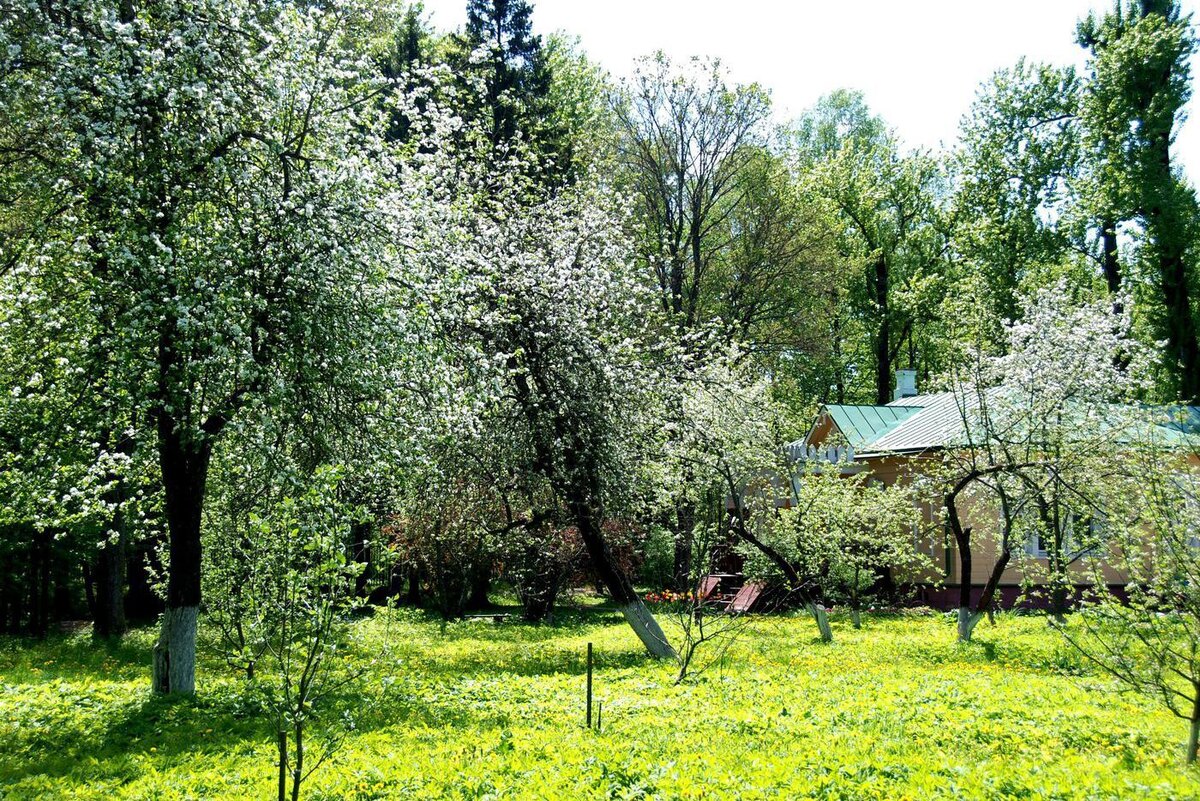 Известные режиссёры и актёры приезжают в Мелихово найти вдохновение.  Предоставлено музеем-заповедником А. П. Чехова 