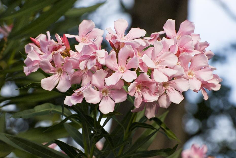    Katja Liedle/face to face/Global Look Press