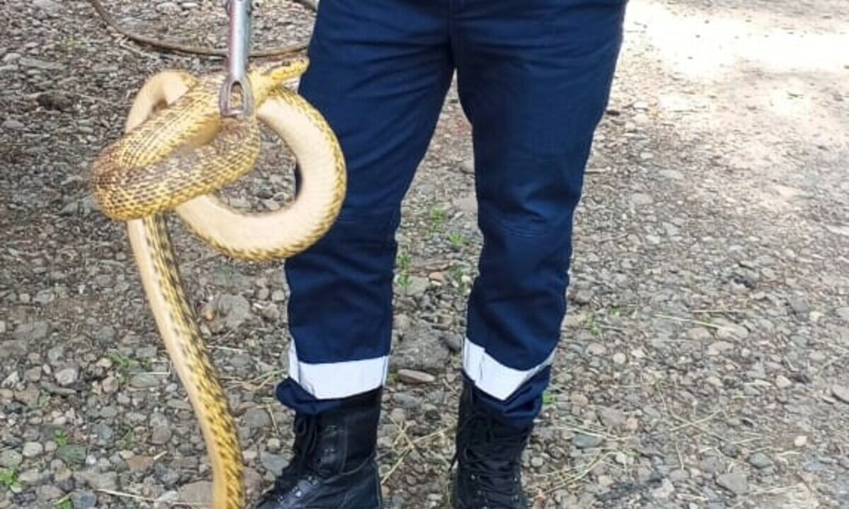    Фото t.me/kubanspas