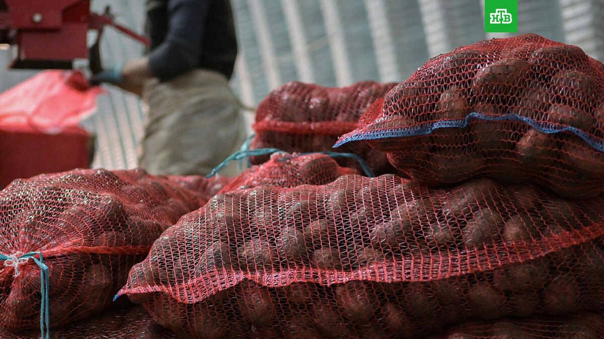    Фото: РИА Новости © 2025, Александр Кряжев