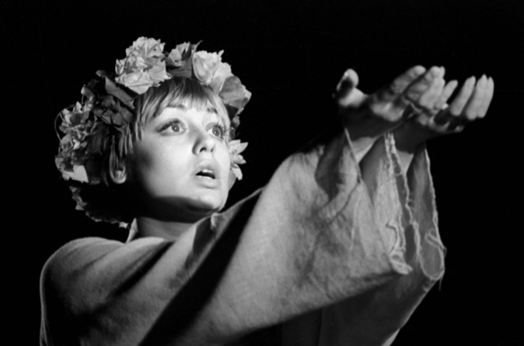 Елена Шанина 