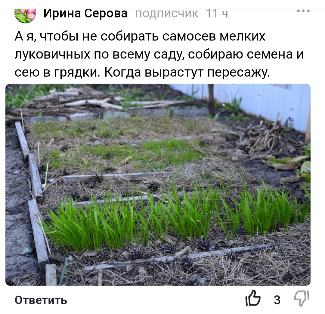 Смотрите, какие чудесные грядки – милота, да и только. 