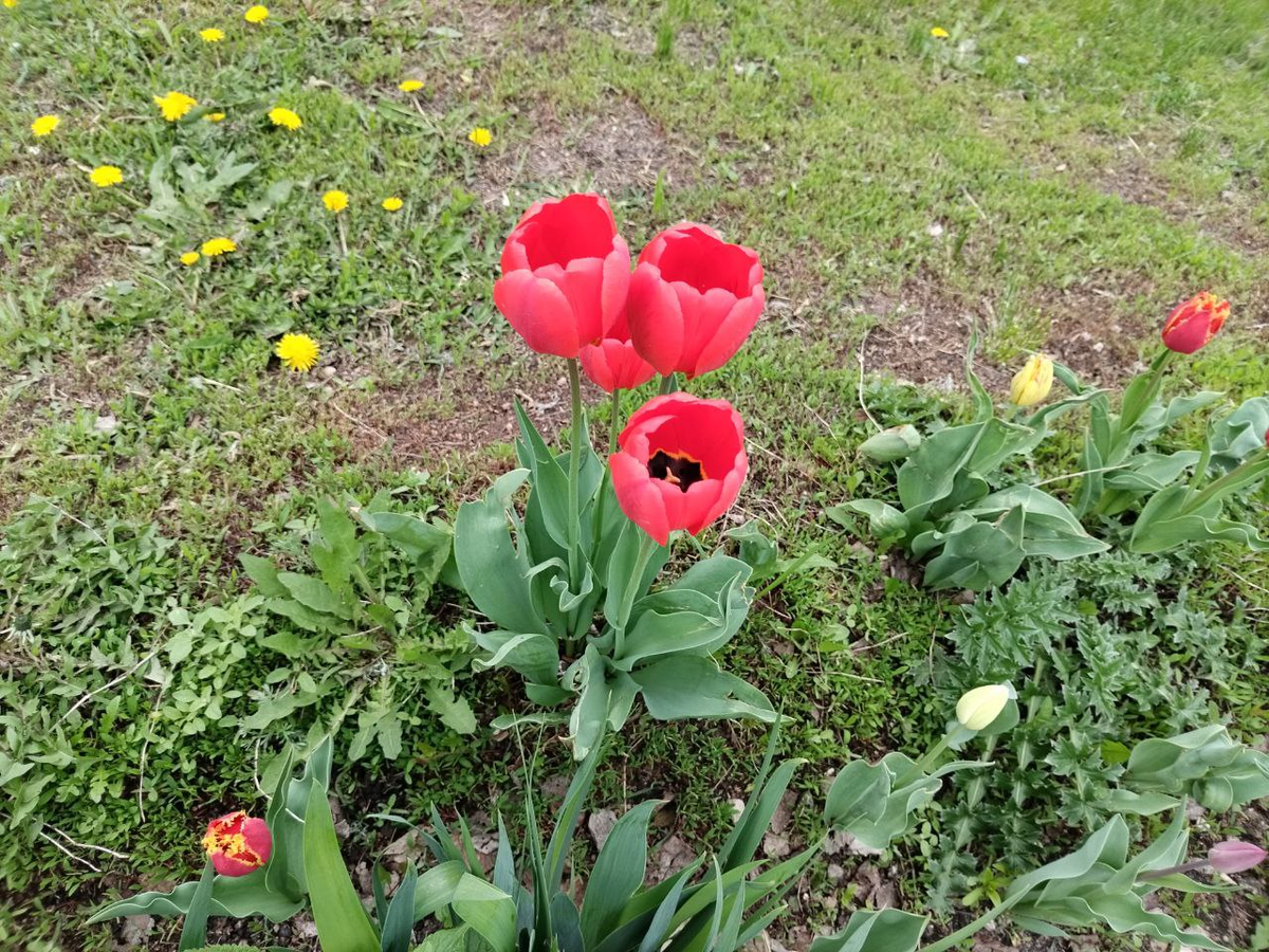 Фото автора.