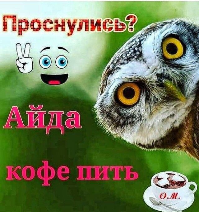 Фото из интернета.