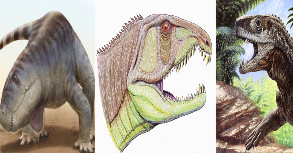 Архозаврообразные среднего триаса: 1. слева – шаньсизух, крупный эритрозухид из Китая; 2. по центру – сарматозух, некласифированный архозаврообразный из России; 3. справа – халажайзух, эупаркериид из Китая.