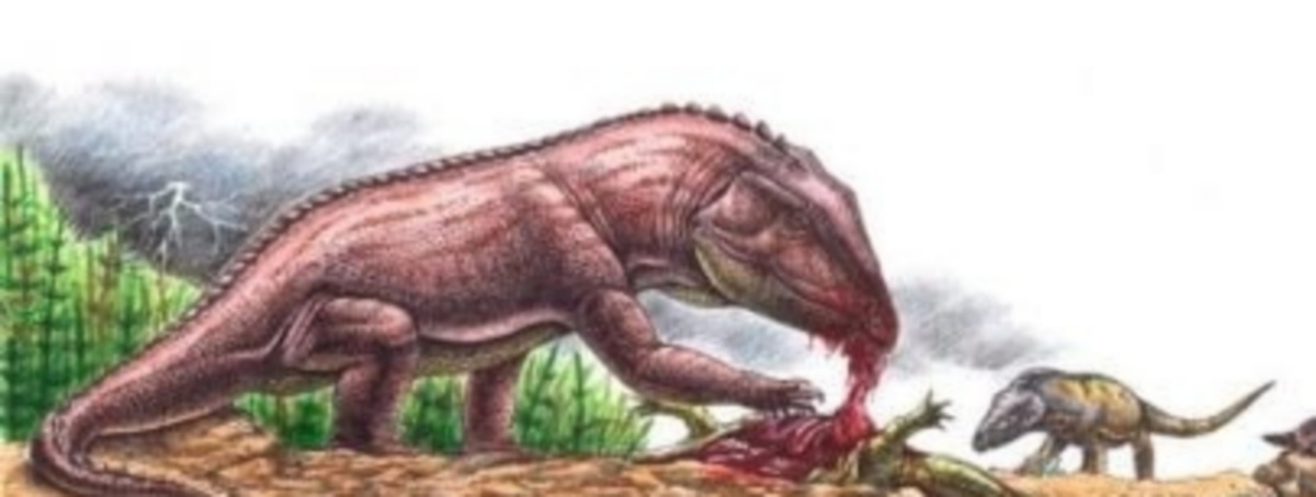 Уралозавр поедает тушу эриозуха. Донгузская формация, средний триас 247,2-242 миллиона лет назад.