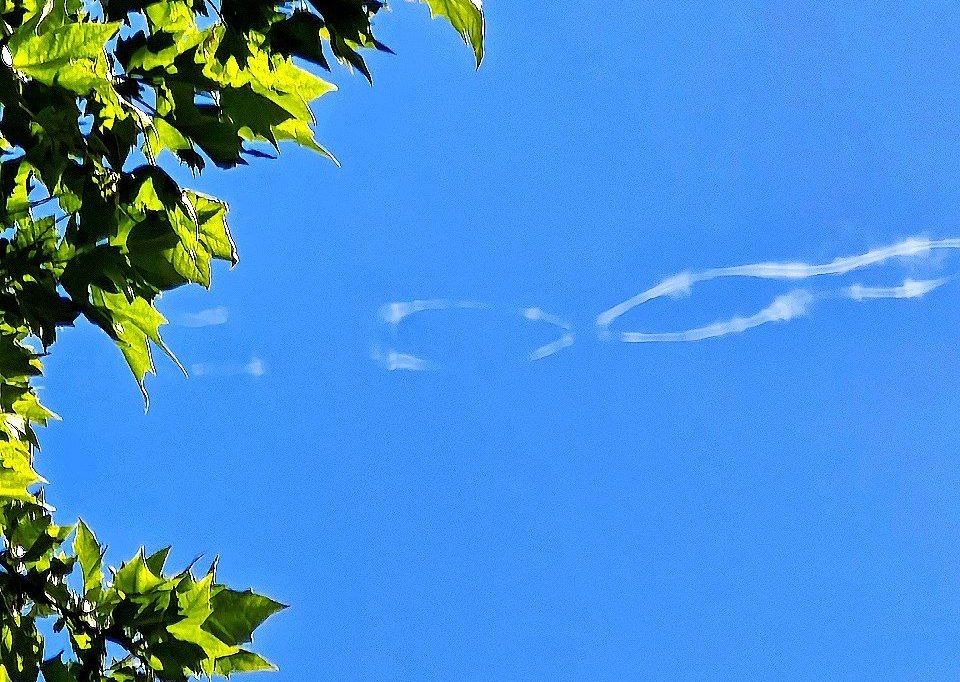 Фото: Telegram/Погода в Сочи  📷
