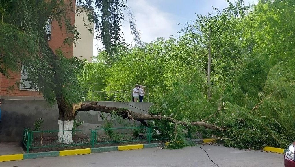     Автор: t.me/rostovnews61