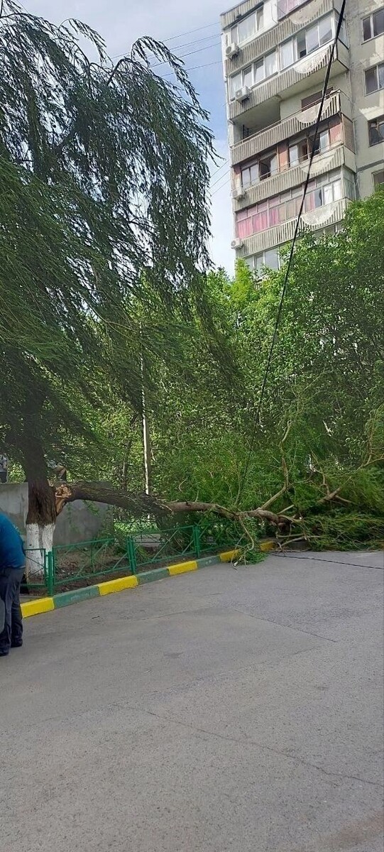     Автор: t.me/rostovnews61