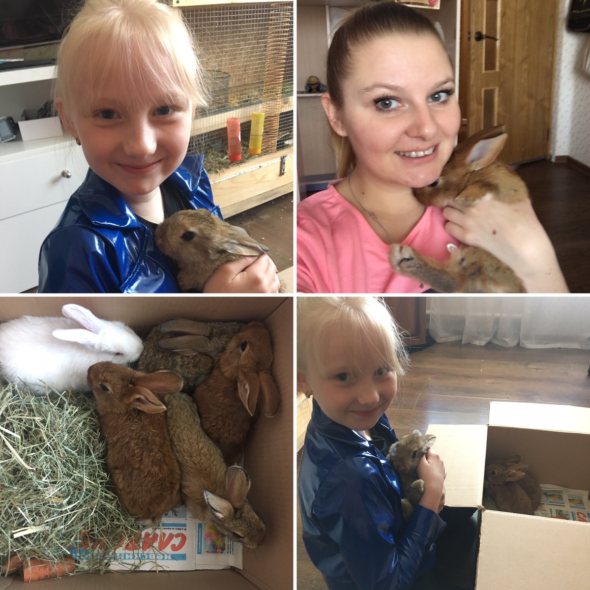 Тут я беременна Саньком и в меня еще нет аллергии. Появилась она после рождения Сани. А может она и не на кроликов, а на их подстилку.