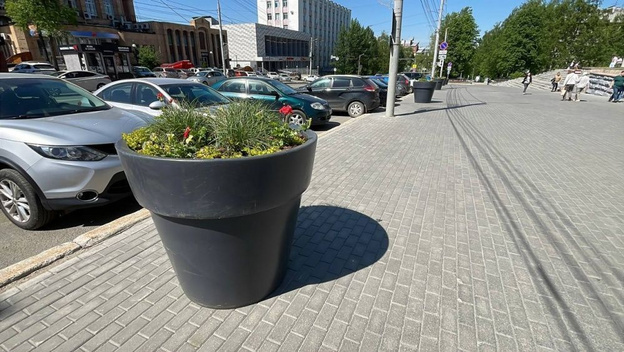    Киров расцветает: тысячи новых цветов украсят город