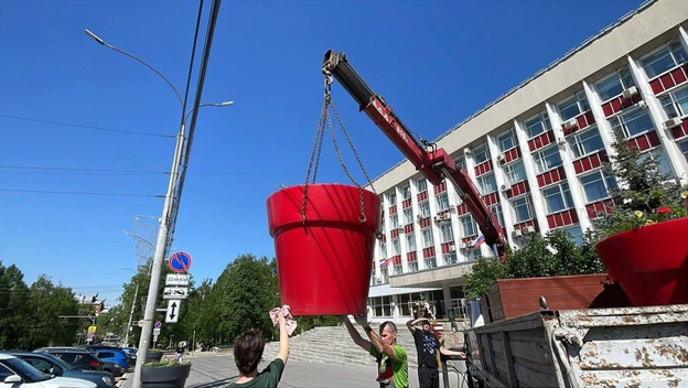    Киров расцветает: тысячи новых цветов украсят город