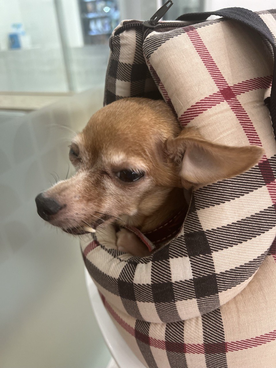 Это мы в клинике ждём приёма, видно торчащий зуб