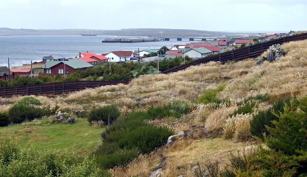 Из открытых источников.